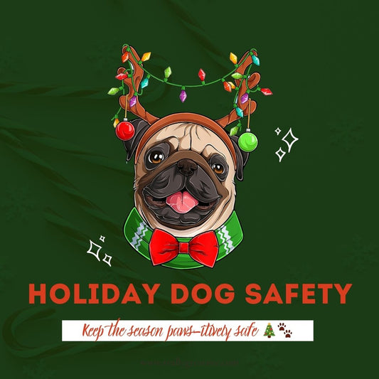 Holiday Dog Safety: Keep the Festive Season Paws-itively Safe! 🐾🎄