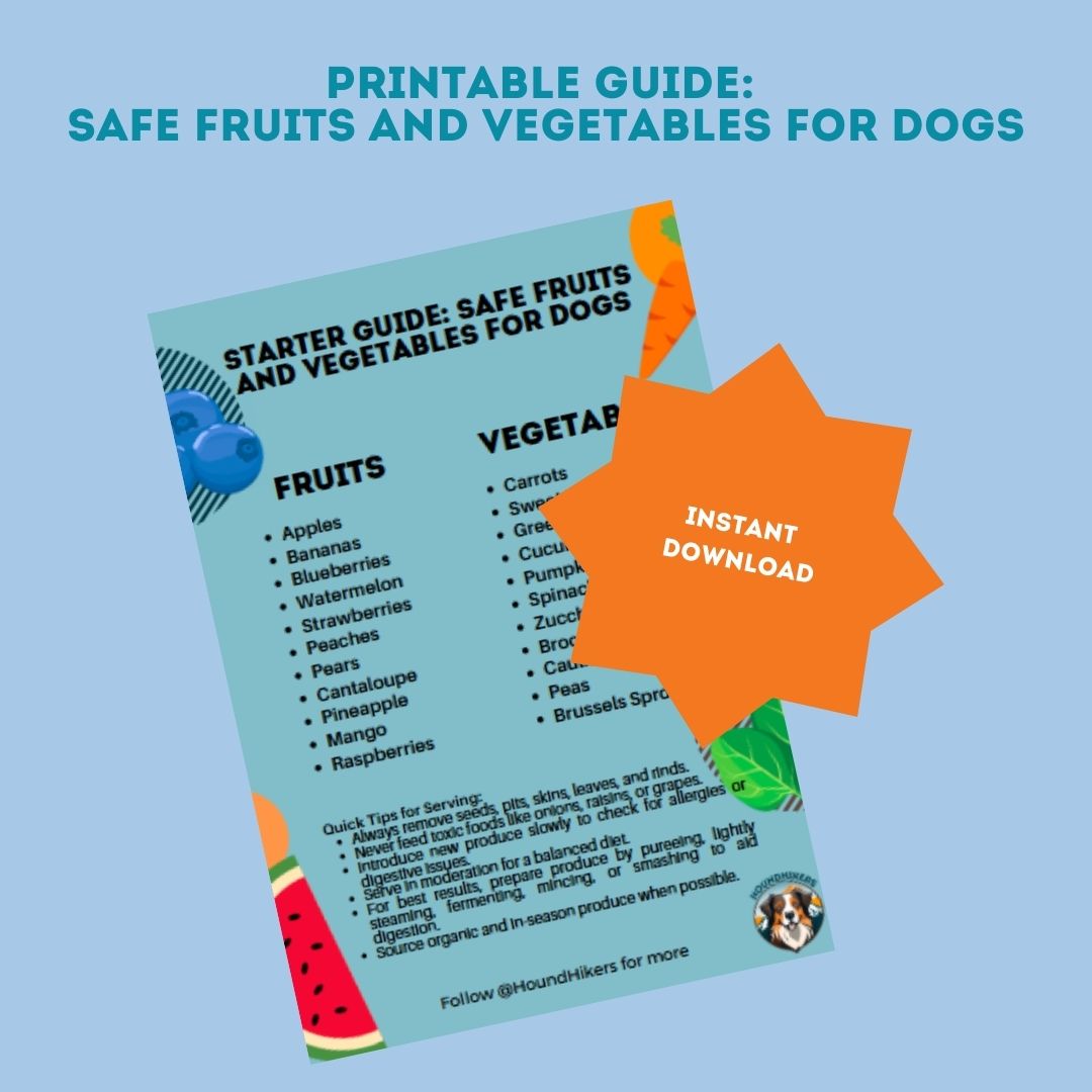 Printable Guide: Safe Fruits and Vegetables for Dogs