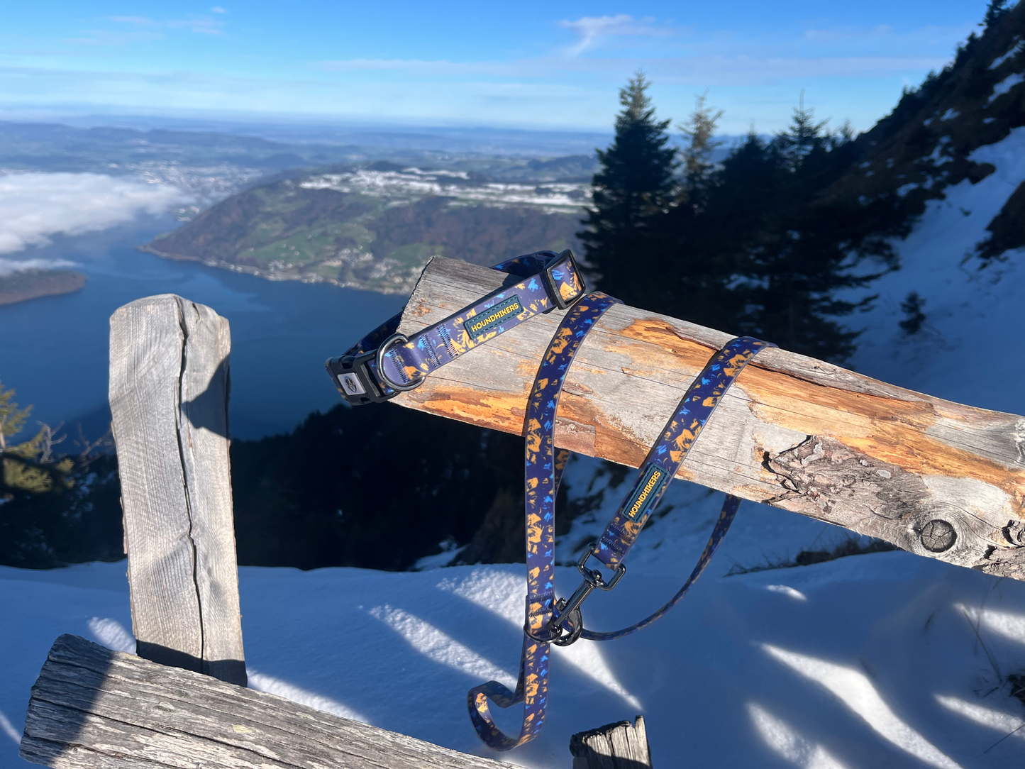 BlueBay wasserdichtes Halsband- und Leinenset