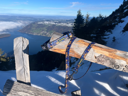 BlueBay wasserdichtes Halsband- und Leinenset