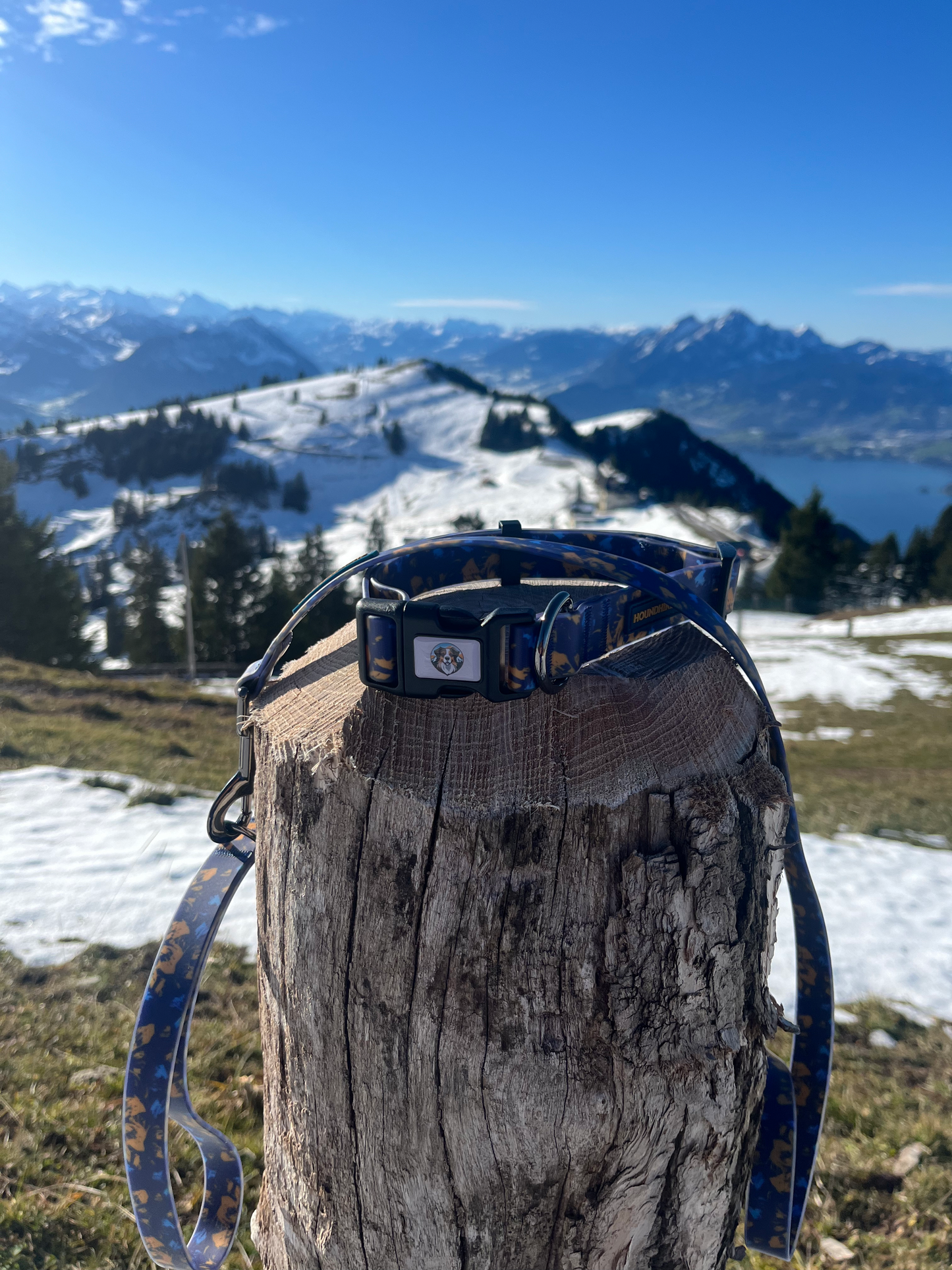 BlueBay wasserdichtes Halsband- und Leinenset