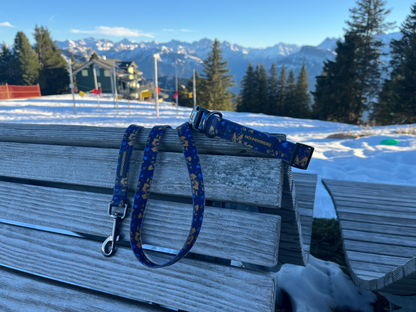 BlueBay wasserdichtes Halsband- und Leinenset