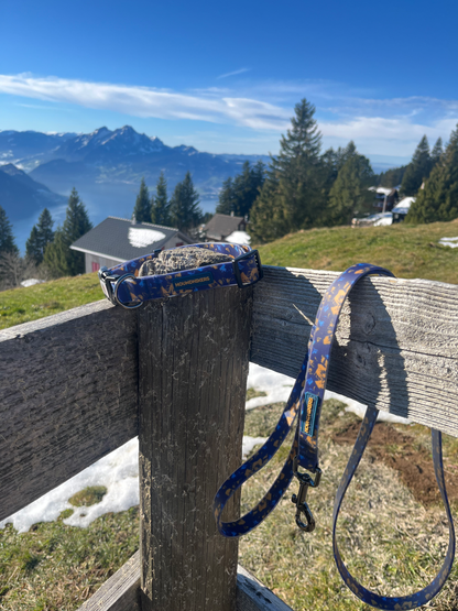 BlueBay wasserdichtes Halsband- und Leinenset